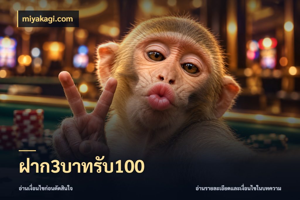 ฝาก3บาทรับ100 สนุกกับตัวเลือกโปรในสไตล์ของคุณ ในมุม miyakagi.com