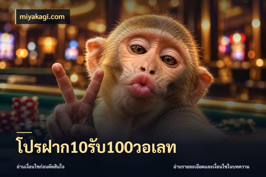 โปรฝาก10รับ100วอเลท จับประเด็นยอดรับก่อนเลือกความสนุก ในมุม miyakagi.com