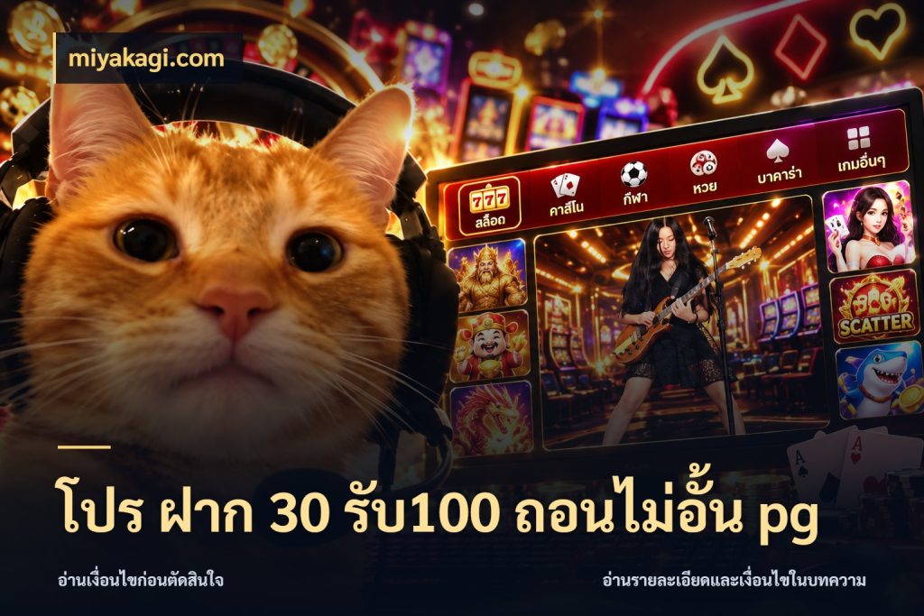 โปร ฝาก 30 รับ100 ถอนไม่อั้น pg โปรยอดรับที่สายเกมสนใจ ในมุม miyakagi.com